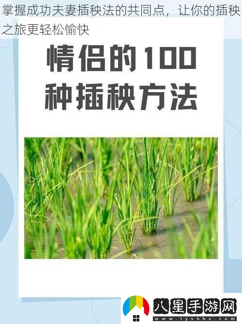 掌握成功夫妻插秧法的共同點(diǎn)