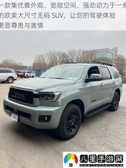 一款集優(yōu)雅外觀(guān)、寬敞空間、強勁動(dòng)力于一身的歐美大尺寸**