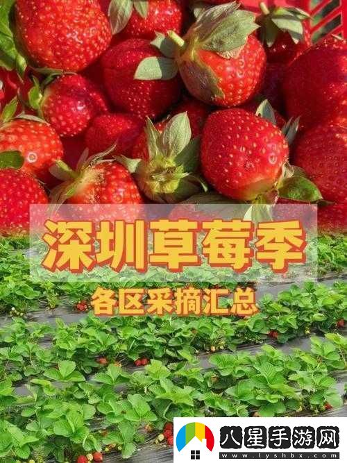 草莓秘免費一區二區三區精彩內容大放送