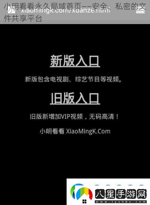 小明看看永久局域首頁(yè)——安全、私密的文件共享平臺