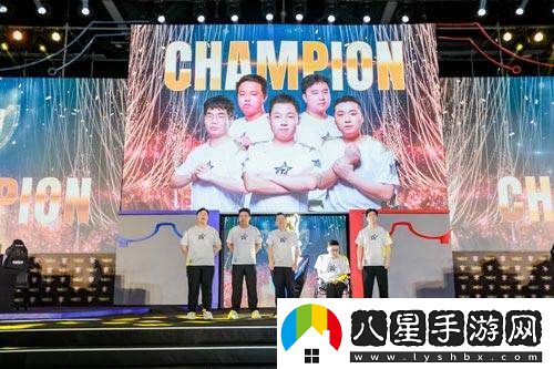 TOP戰隊實(shí)力再現，成功奪得2024英魂之刃精英聯(lián)賽總決賽冠軍榮譽(yù)