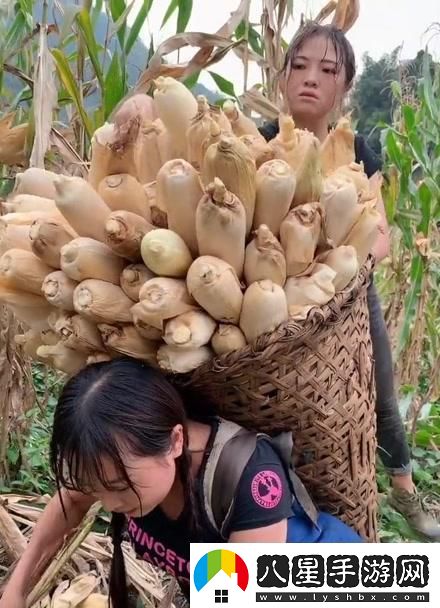 農夫“果兒”奇遇記