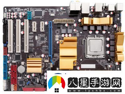 日本插槽X8是正規還是仿