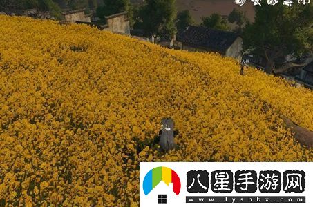 逆水寒手游此喵非彼喵任務(wù)怎么做