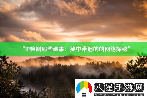 “IP檢測那些破事