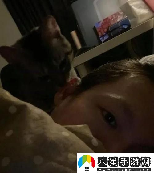 半夜裝睡配合孩子陰陽(yáng)調和