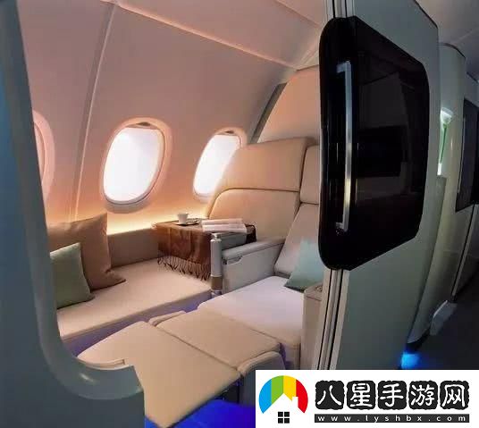 內容豐富頭等艙客服的特殊待遇2