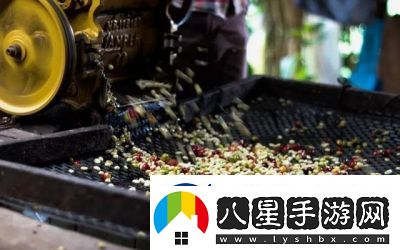 麻豆精產(chǎn)三產(chǎn)最簡(jiǎn)單處理方法
