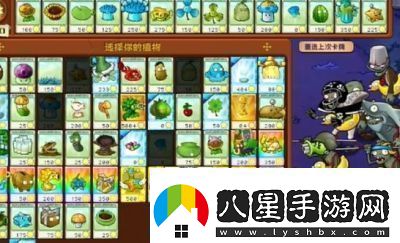 植物大戰僵尸雜交版第7關(guān)通關(guān)攻略【詳解】