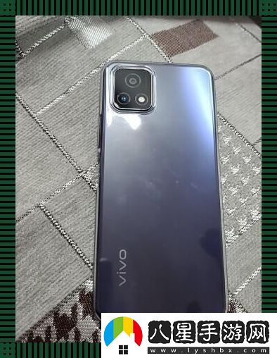 “一級成色好的Y31S”