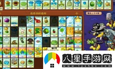 植物大戰僵尸雜交版第7關(guān)通關(guān)攻略【詳解】