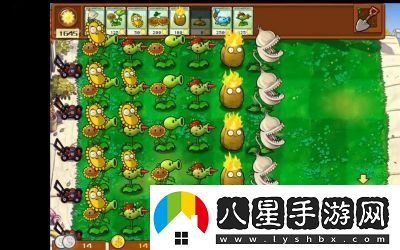 植物大戰僵尸雜交版前院告急第3關(guān)攻略詳解