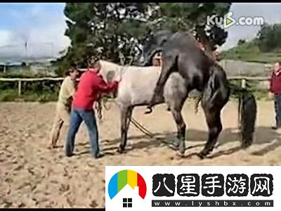 “科技圈笑話(huà)