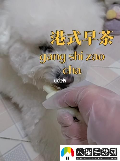 美國人與動(dòng)物膠配方有幾種讀者