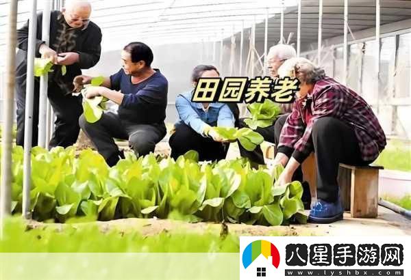 開(kāi)心養老院官方版來(lái)襲