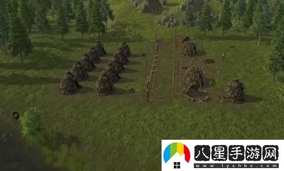 摩爾莊園氣象預報實(shí)戰技巧分享，助你應對天氣變化