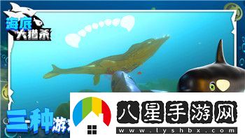 博德之門(mén)3征收所地下室鑰匙怎么獲得詳細方法介紹！