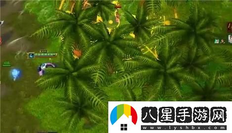 靈魂共鳴的職業(yè)探秘之旅：發(fā)現內心深處的職涯呼喚