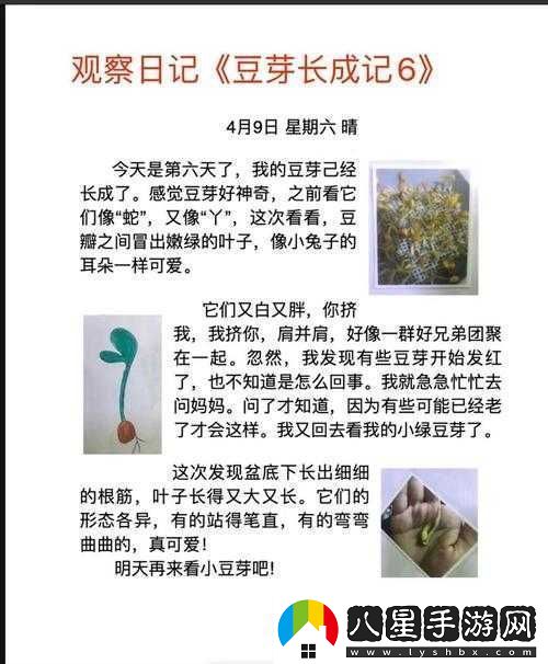 那顆小豆豆的成長(cháng)歷程與難忘故事