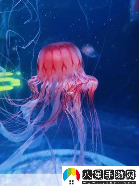章魚(yú)與煙花交織的奇幻冒險