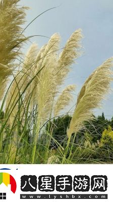 田福和母親在蘆葦中對話(huà)