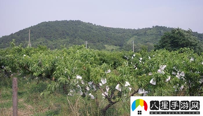 “嶺風(fēng)”來(lái)襲日本水蜜桃笑傲游戲解說(shuō)界??！