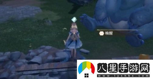 無(wú)限暖暖如何成功喚醒小鳥(niǎo)？詳解有效喚醒小鳥(niǎo)的方法