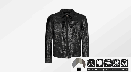 黃仁勛新皮衣超帥！價(jià)格曝光