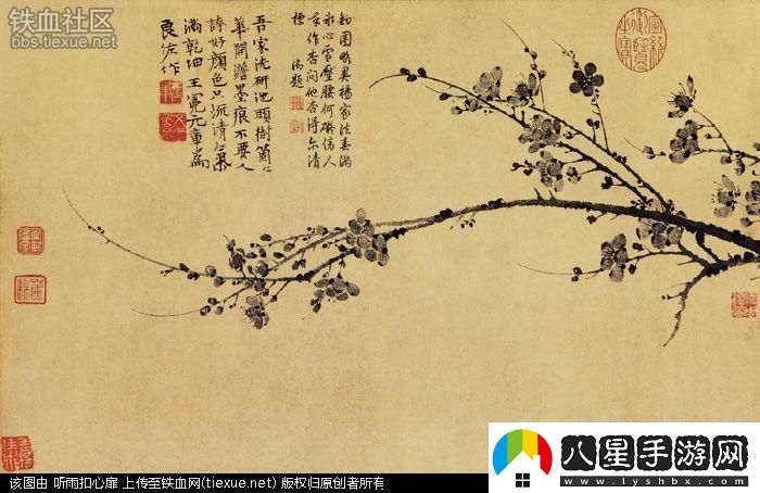 科技江湖驚現奇聞！‘老槍不倒’梅花先生引發(fā)網(wǎng)友狂潮