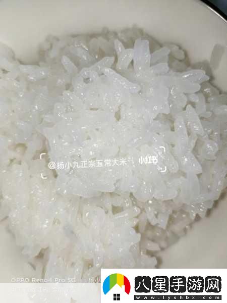 大香煮伊區一二三四區2021