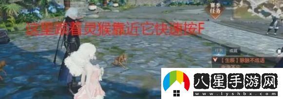 逆水寒手游脈脈不成語(yǔ)奇遇任務(wù)攻略詳解，輕松過(guò)關(guān)的方法分享