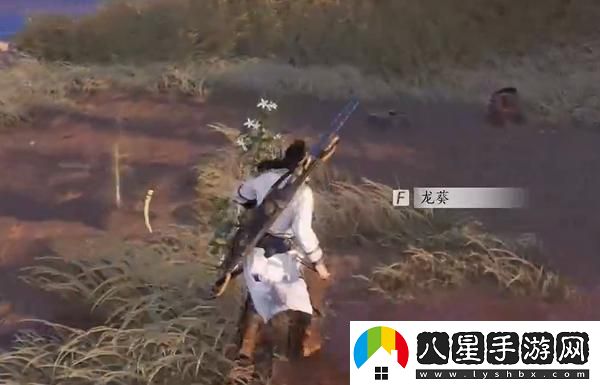 燕云十六聲杏花不見(jiàn)的獲取方法及詳細攻略分享