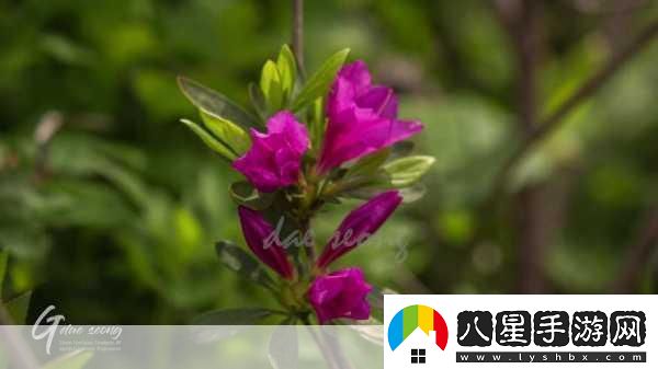 野花日本韓國視頻免費高清觀(guān)看宣布免費1.野花日本韓國視頻免費高清觀(guān)看暢享精彩內容