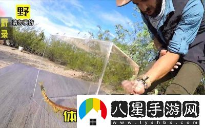 智慧再現！沙漠蜈蚣的必勝打法