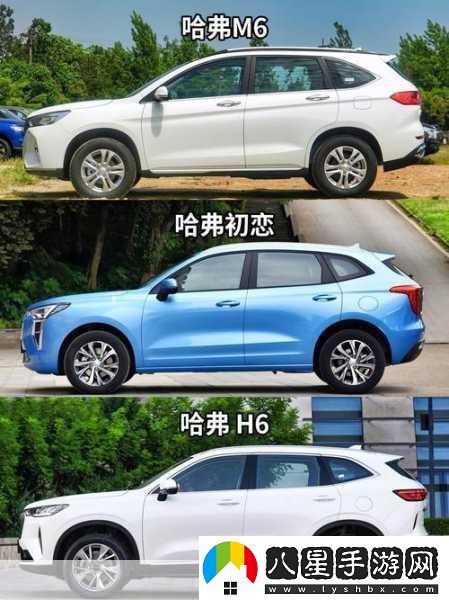 久免費一級SUV好看的國產(chǎn)
