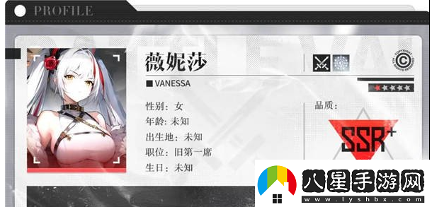 戰火使命薇妮莎角色解析一覽角色定位與戰斗風(fēng)格展現獨特個(gè)性與風(fēng)采