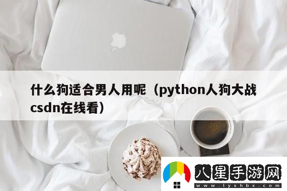 碼農狂歡狗斗盛況