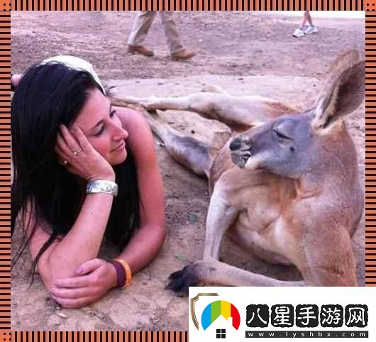 “奇趣互動(dòng)！高清時(shí)代的人物與動(dòng)物‘吵架’日常