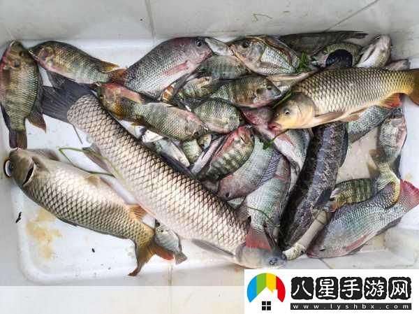 泡泡先鋒釣魚(yú)秘籍