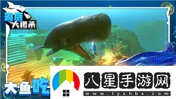 戰國無(wú)雙2道具的樣式與實(shí)戰價(jià)值分析：如何利用道具提升戰力