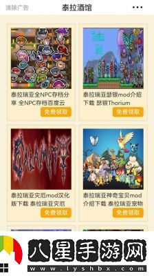 泰拉瑞亞游戲輔助工具選擇與風(fēng)險預防