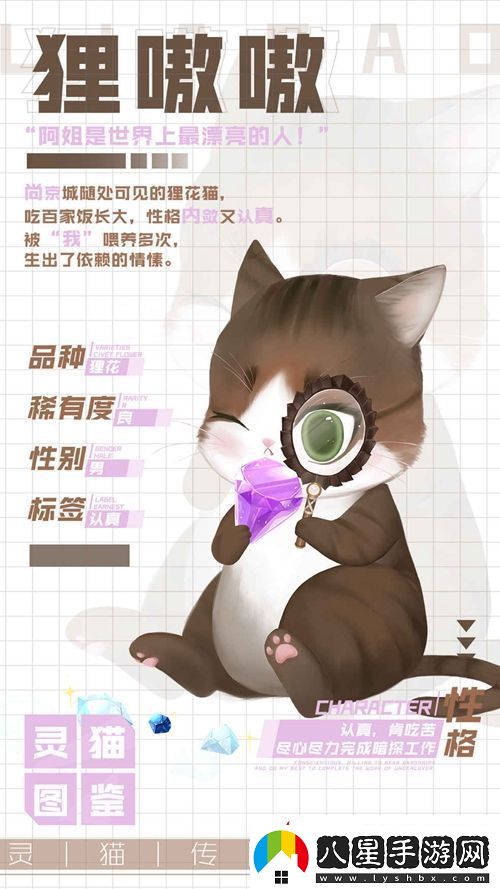 靈貓傳老實(shí)孩子貍嗷嗷屬性圖鑒