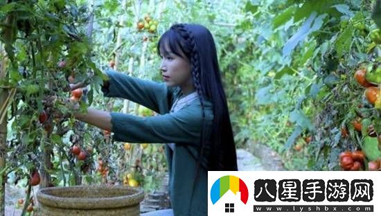 微念稱(chēng)與李子柒的案件已完全和解