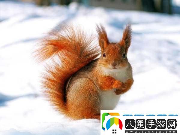 AAAA級毛皮最火的一句透露了中文社區開(kāi)放信息探索AAAA級毛皮的魅力盡享中文社區開(kāi)放新視野！