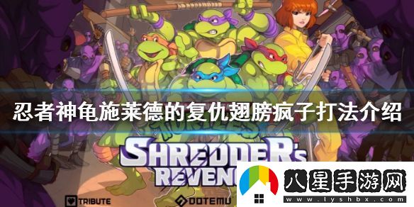 忍者神龜施萊德的復仇翅膀瘋子怎么打