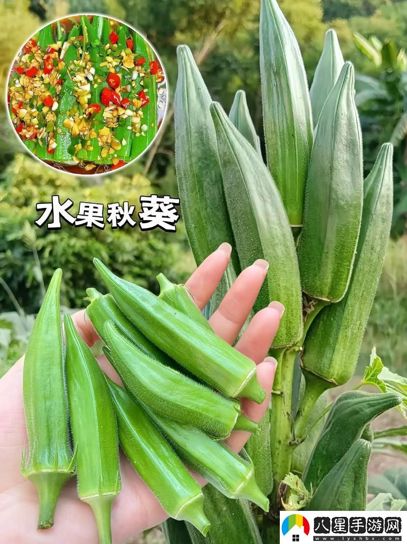 關(guān)于“秋葵適合未滿(mǎn)十八歲的女生吃嗎”的探討