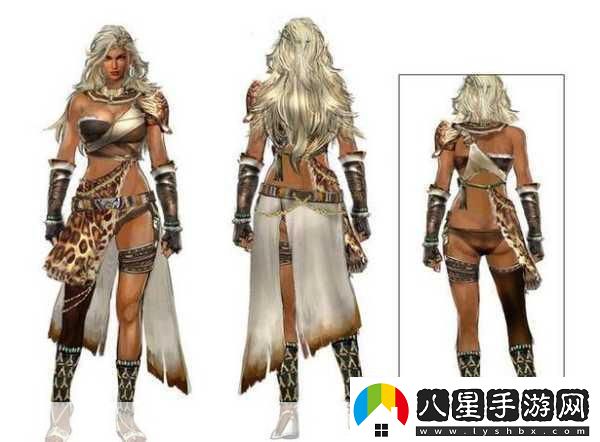 三國如龍傳祝融角色深度解析