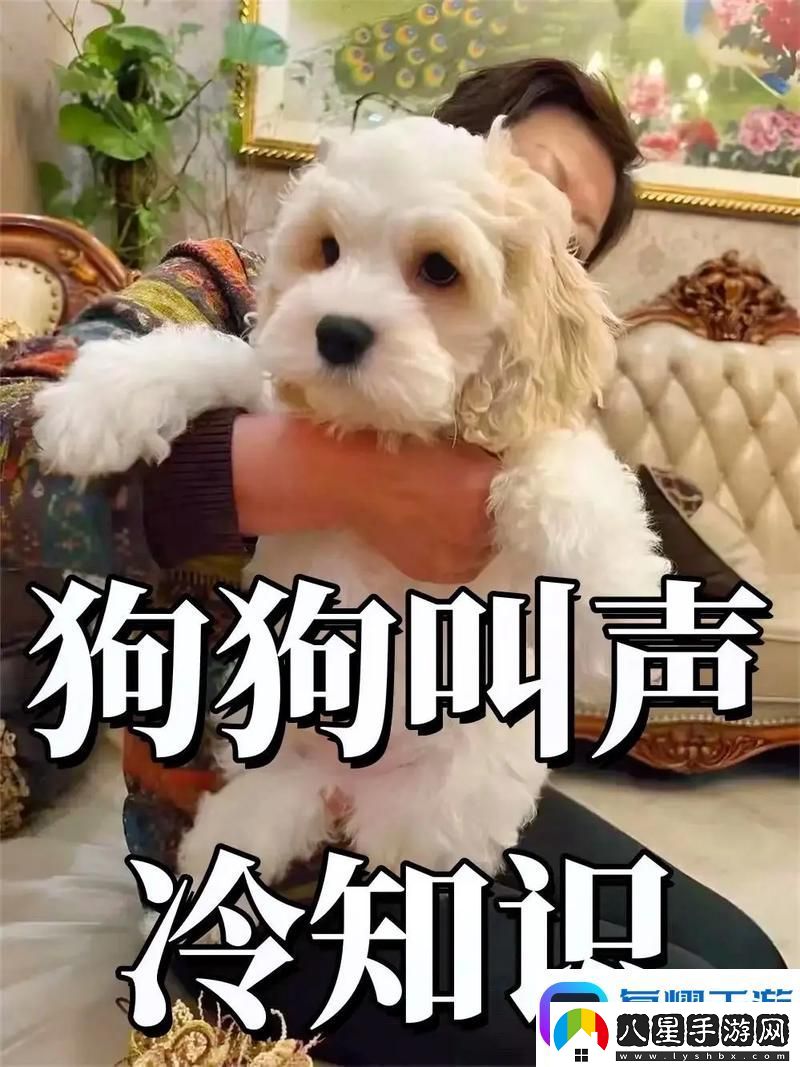 抖S狗狗要乖乖聽(tīng)主人的話(huà)網(wǎng)友