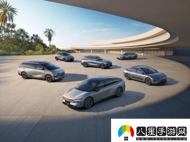 何小鵬稱(chēng)自己長(cháng)得老實(shí)總被騙