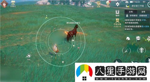 諾亞之心馬怎么馴服